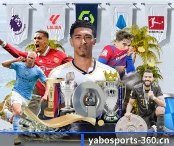 国际化进程 | YABO SPORTS